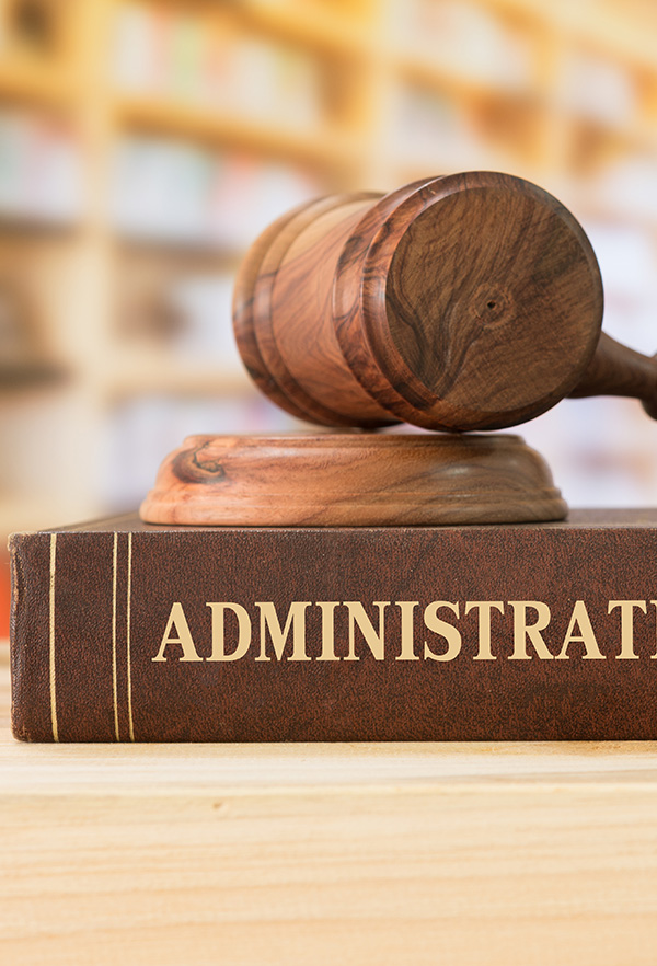 administrative law